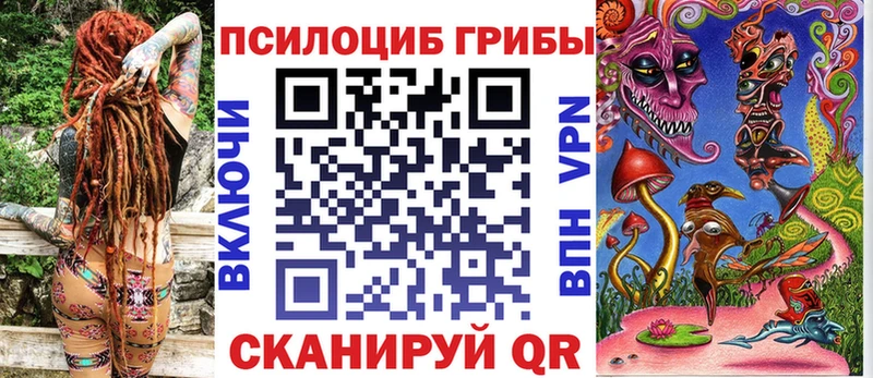 Галлюциногенные грибы Psilocybe  Усть-Джегута 